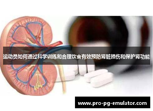 运动员如何通过科学训练和合理饮食有效预防肾脏损伤和保护肾功能